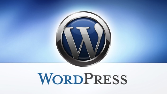 Top 10 WordPress Development Company in Delhi